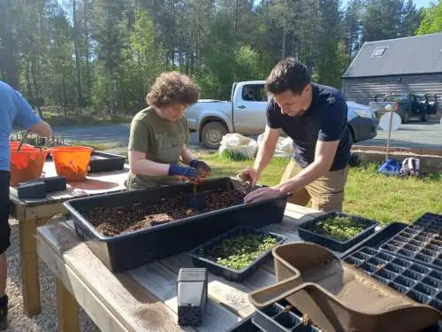 robot car two people planting tree seedlings